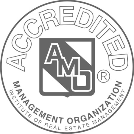 AMO logo