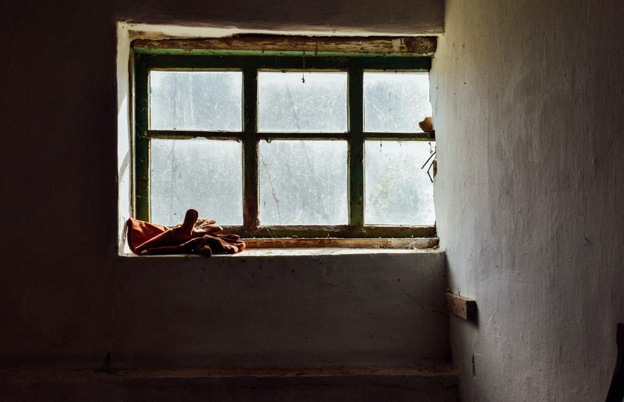 Housing and Food Insecurity as a TwoProng Social Determinant of Health